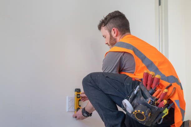 Best Electric Panel Repair  in Pea Ridge, FL